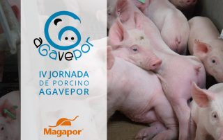 Magapor Agavepor 2018