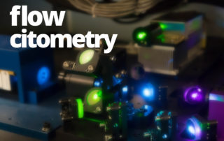 Cytometry 2