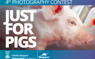 4th Magapor Photography contest