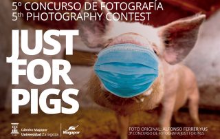 Concurso de Fotografia Magapor 2020