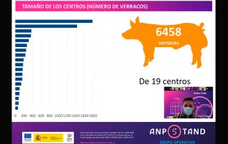 Encuesta ANPSTAND