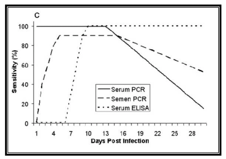 1 - Sensibilidad detección PRRS mediante PCR