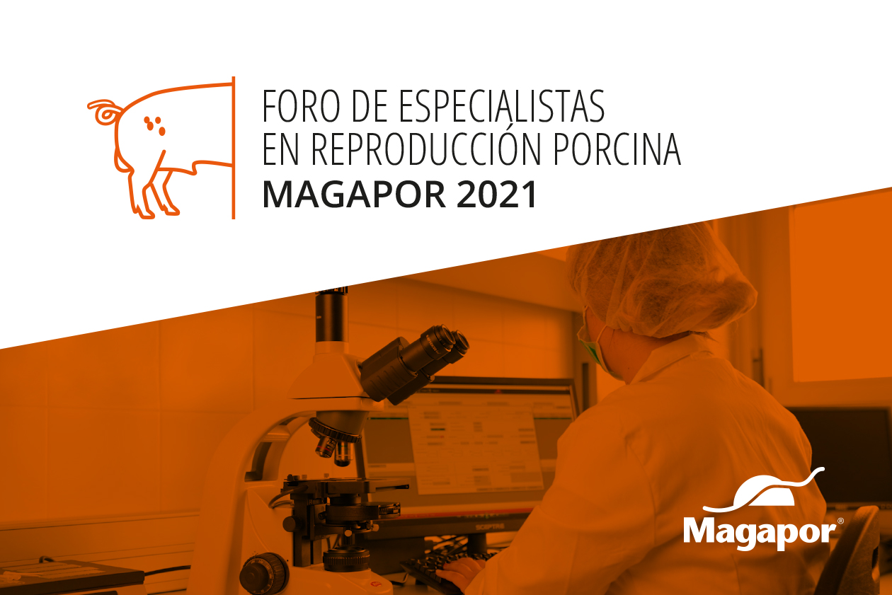 Foro Magapor 2021
