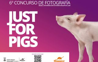 VI Concurso fotografia Magapor