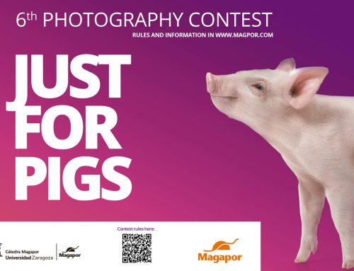 6th Photography Contest on Swine Production