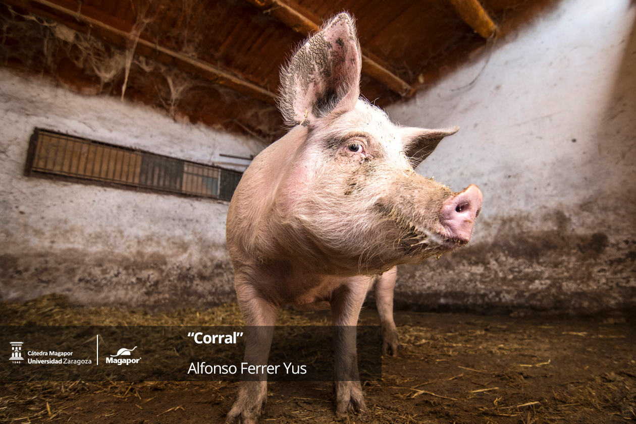 Tercer premio concurso fotografia Magapor