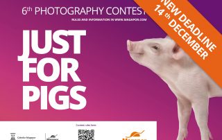 Deadline of the photo contest extended