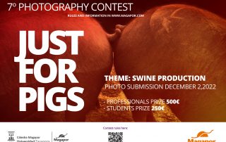 Swine production photography contest