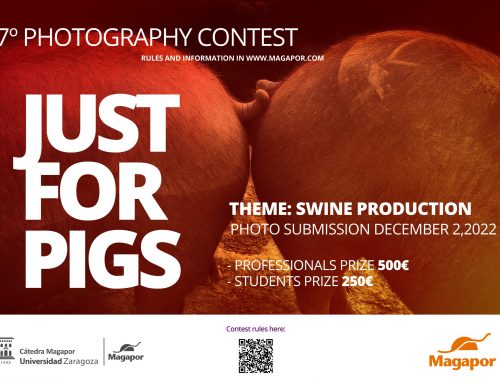 7th Photography Contest on Swine Production