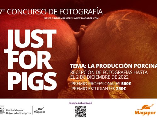 VII Concurso de fotografía Magapor