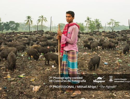 VII Photo contest “Just for pigs” resolution