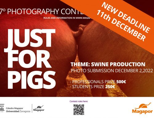 We extend the deadline for the VII photo contest