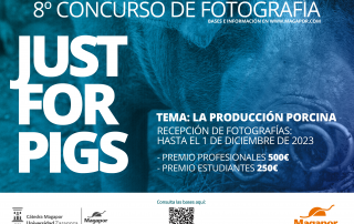 Concurso de fotografía Magapor