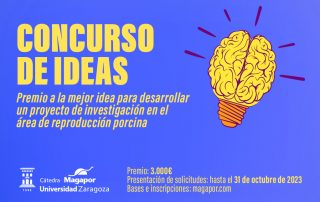 Concurso Ideas Magapor