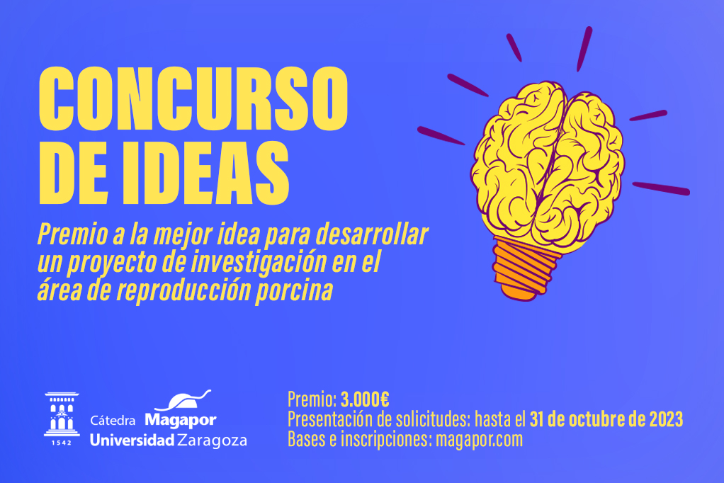 Concurso Ideas Magapor