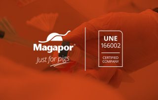 Certificación Gestión de I+D+i Magapor