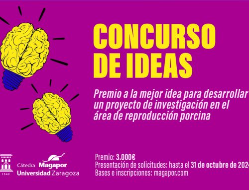 II Concurso de ideas Magapor