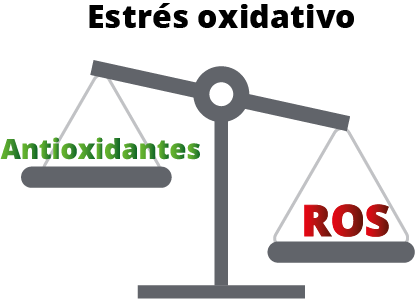 Estrés oxidativo en espermatozoides