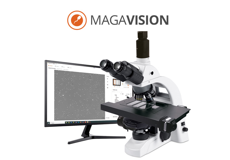 Magavision