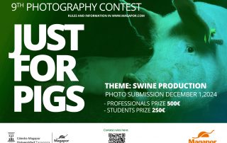 Magapor photography contest