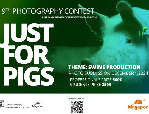 9th Photography Contest on Swine Production