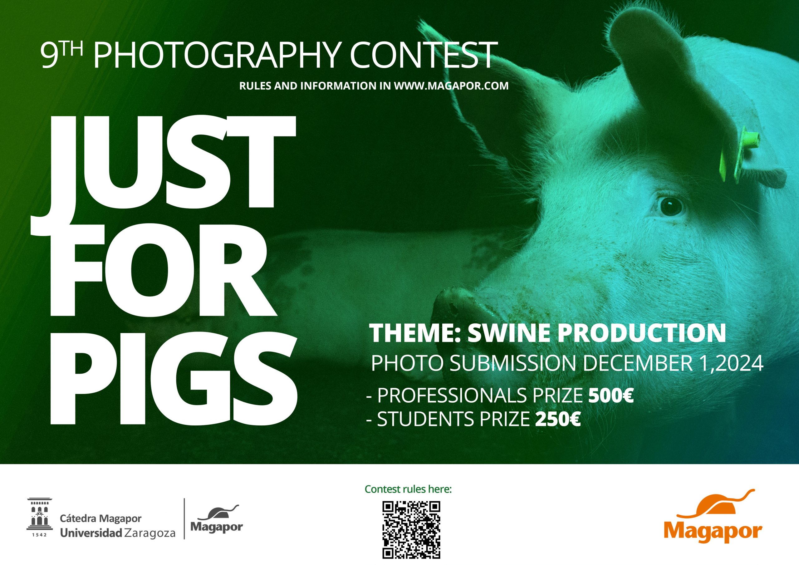 Magapor photography contest