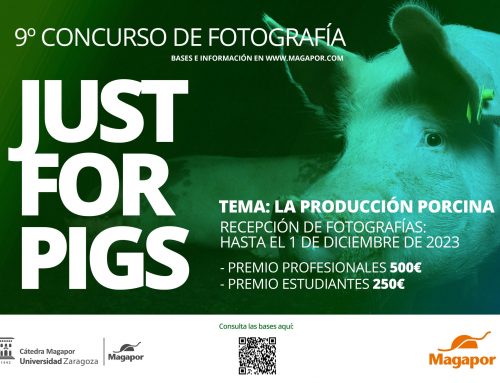 IX Concurso de fotografía Magapor