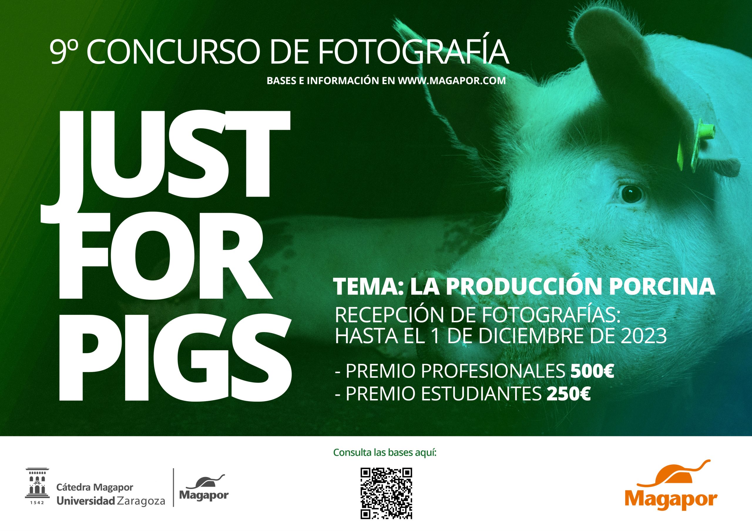 Concurso de fotografía Magapor