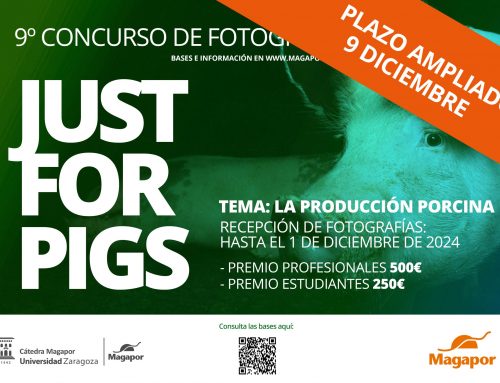 Ampliamos plazo del IX Concurso de fotografía Magapor