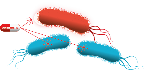 Mecanismos de resistencia antibiótica