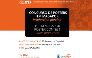 Concurso posters Magapor