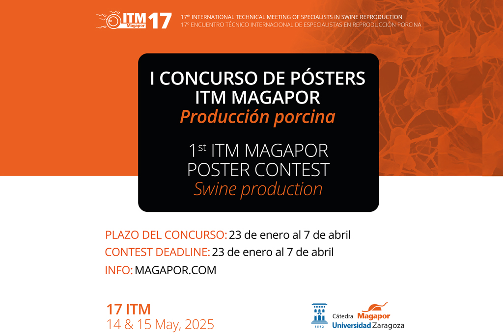 Concurso posters Magapor