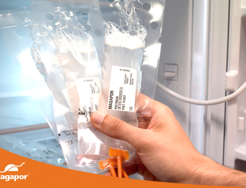 How to properly store swine semen doses: the importance of choosing the right cooler