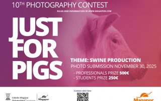 Magapor Photography contest