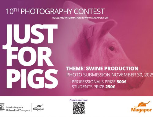 10th Magapor Photography Contest