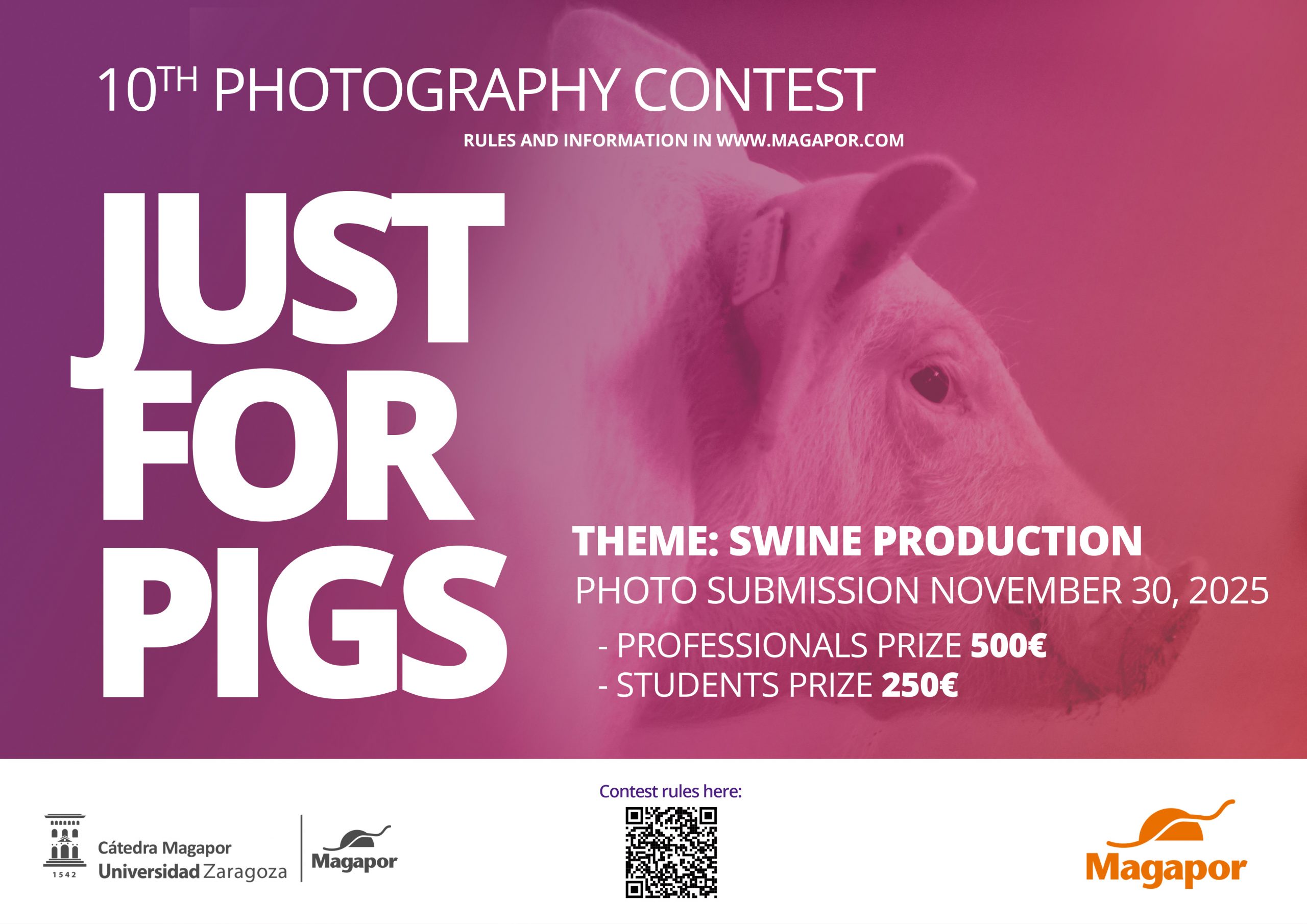 Magapor Photography contest