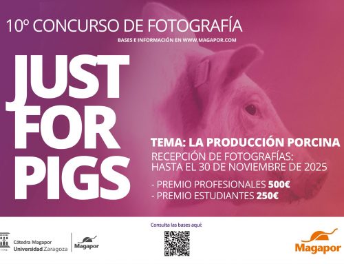 X edición Concurso de fotografía de Magapor