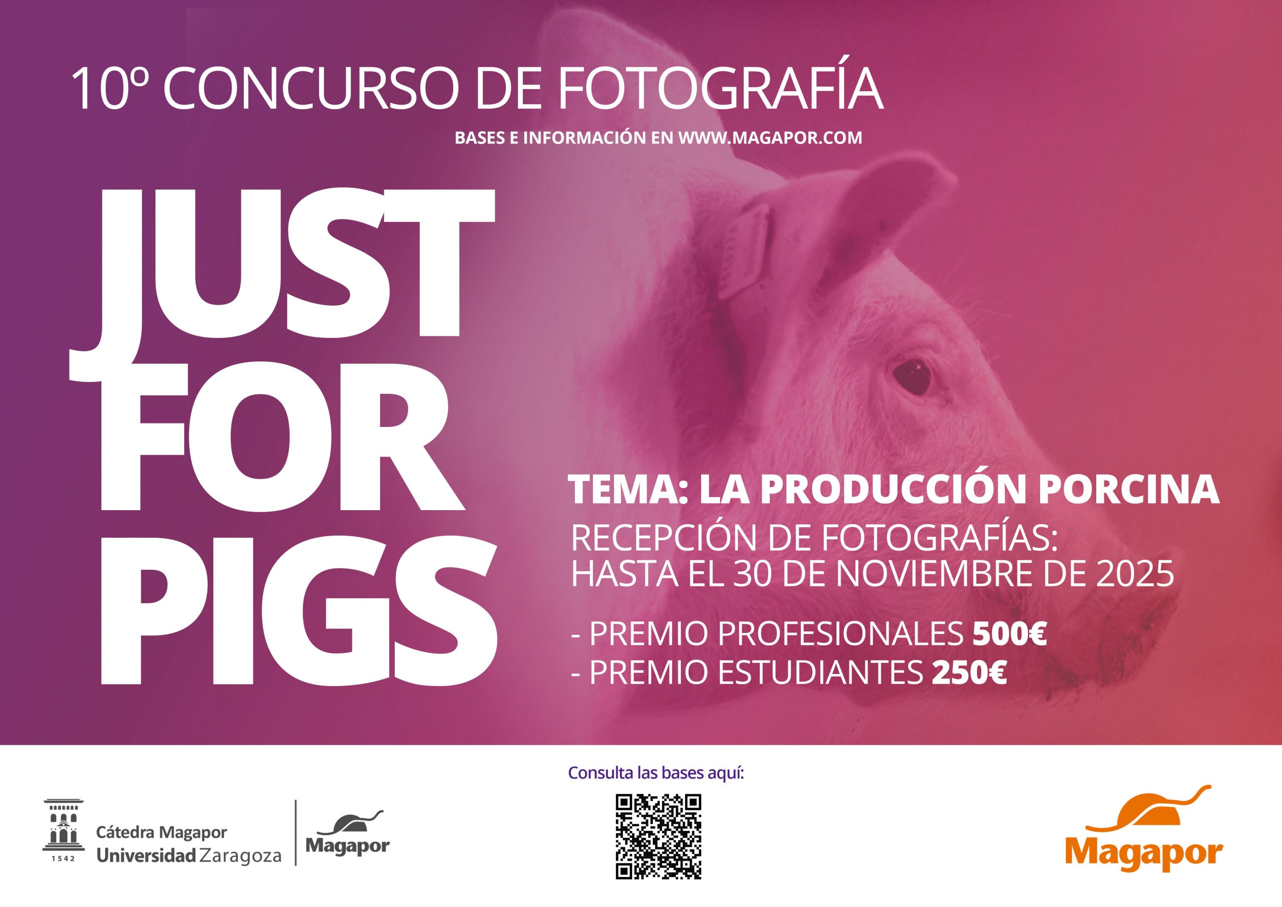 X edición Concurso de fotografía de Magapor