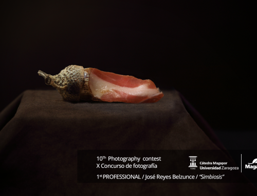 Resolución del X Concurso de Fotografía Just for Pigs