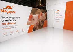 Magapor Brasil 4