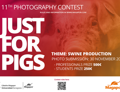 The 11th edition of the Just For Pigs photography contest is here